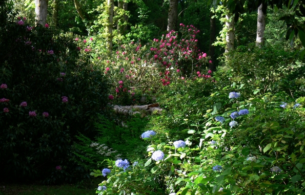 Bois des Moutiers (35) Juin 2012